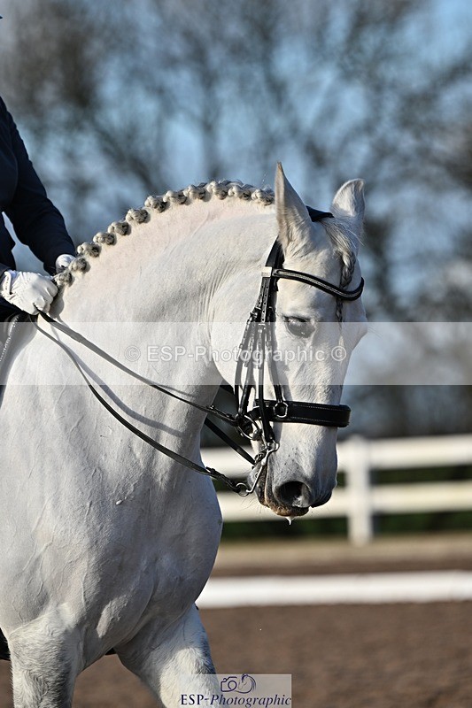 241214-135023-02597 - 102-PAULA.LEE-Deseado.Santo