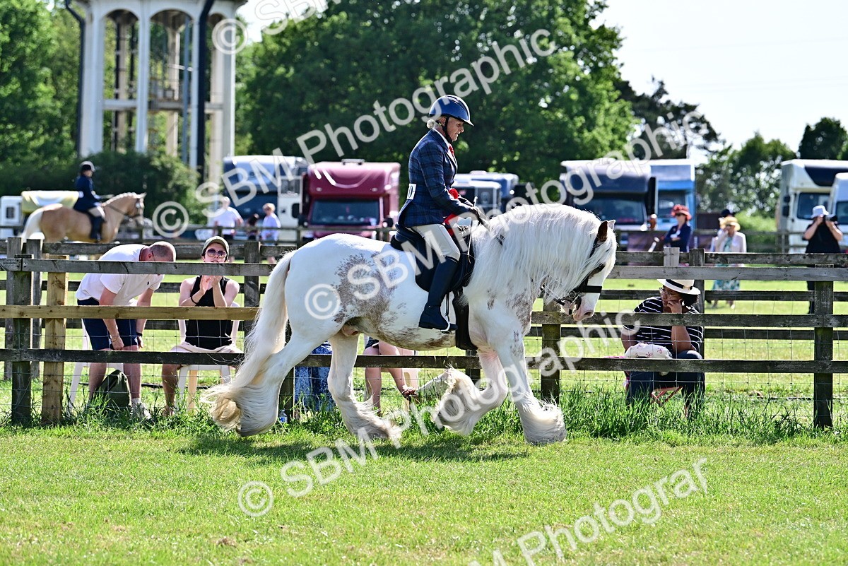 SBM_09452 - Class 63-65 - Traditional Gypsy Cobs In Hand & Ridden