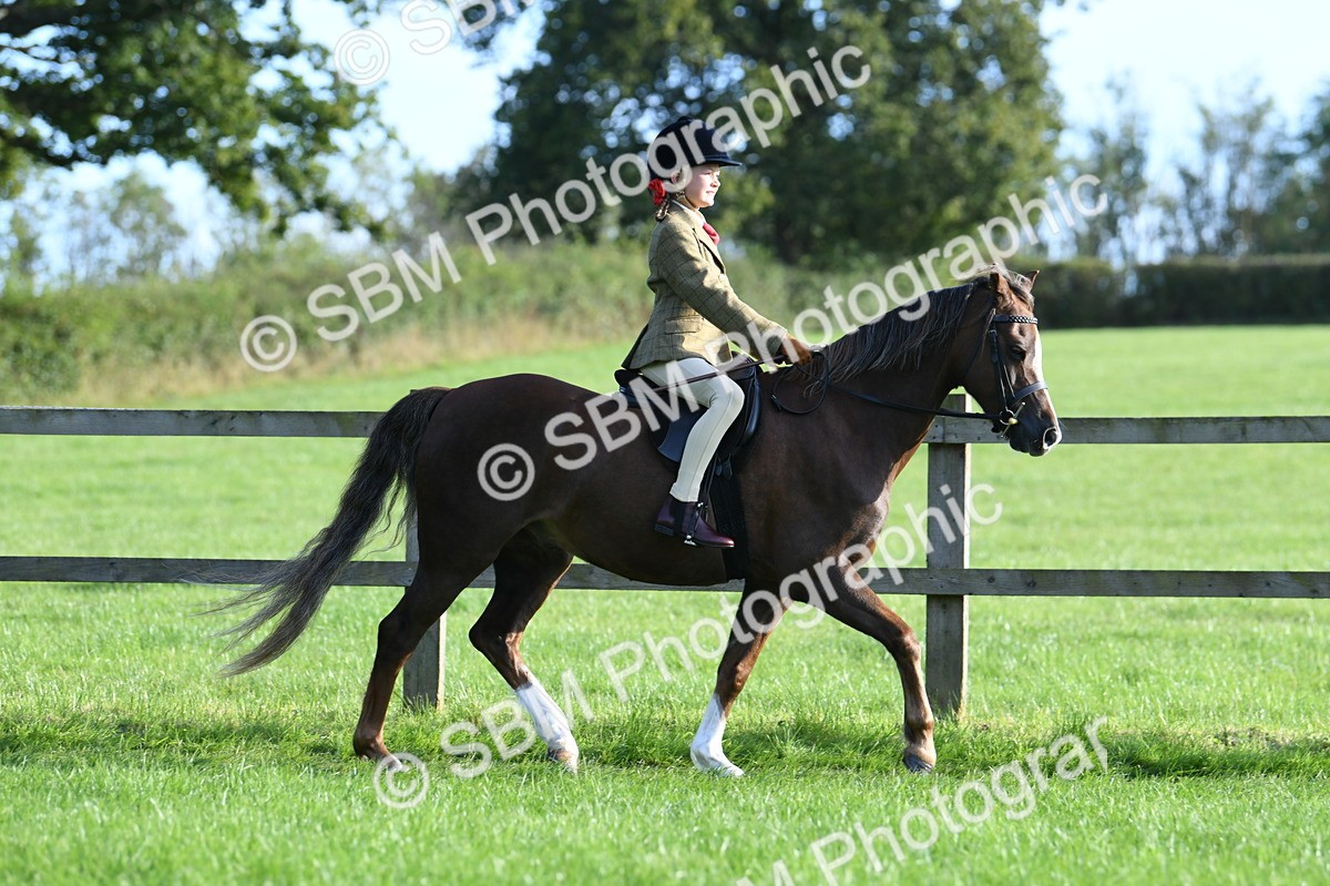 SBM_54008 - S23 - 1st Ridden Mountain & Moorland Pony