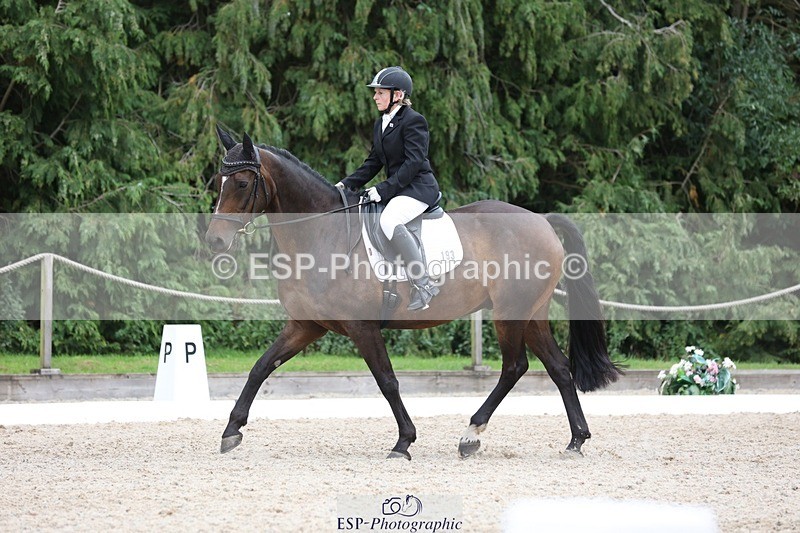 230813-144639-07866 - Cls 11 Elem Bronze 14.30 to End