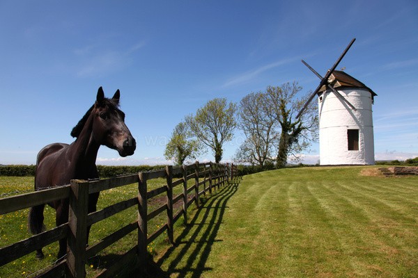 Ashton windmill _S115 - Somerset landscape Photography