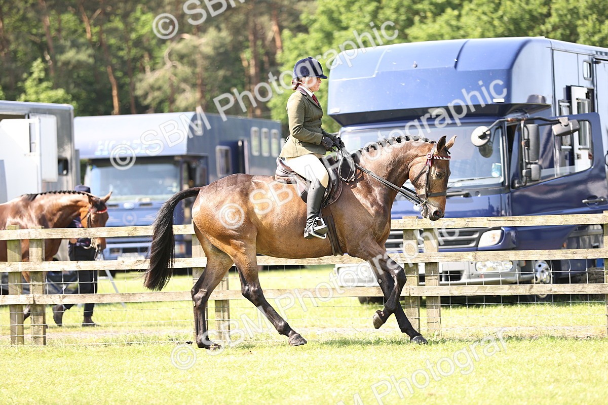 SBM_12984 - Class 75-76 LIHS BSHA Rising Star Hack Riding Horse