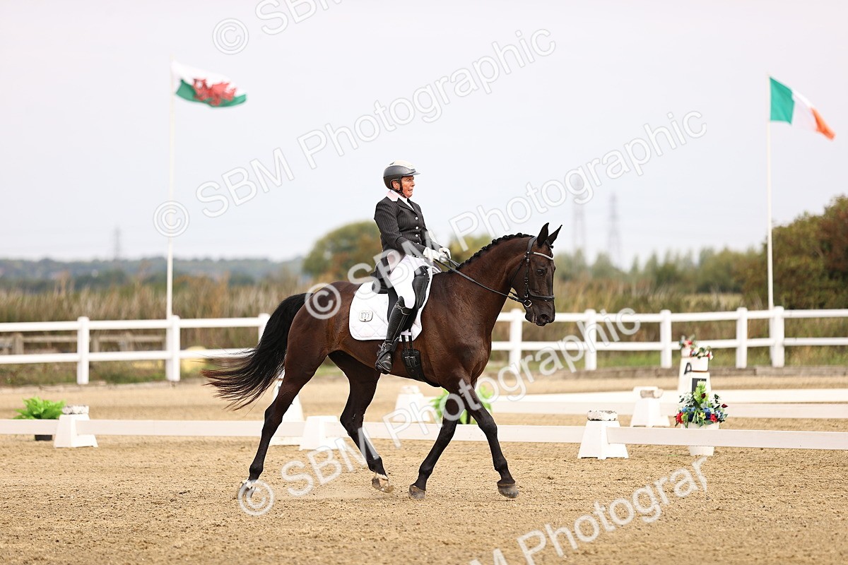 SBM_011573 - Class 1 - Medium 5