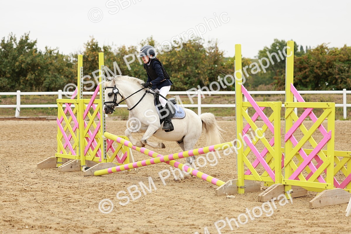 SBM_007140 - Class 2 - 50cm