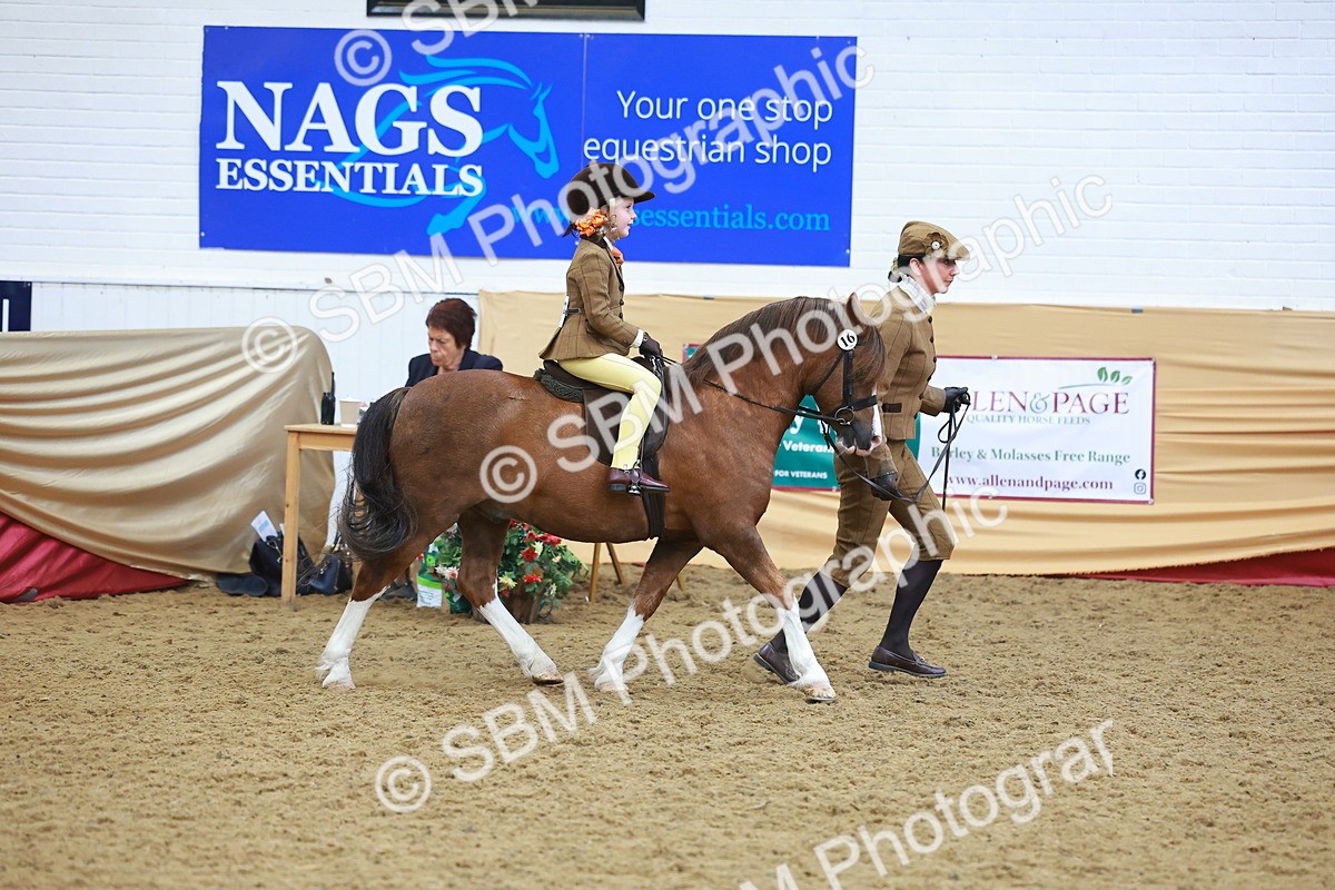 SBM_12629 - Class 103 - HOYS Veteran Qualifier - Ridden Pre Vet