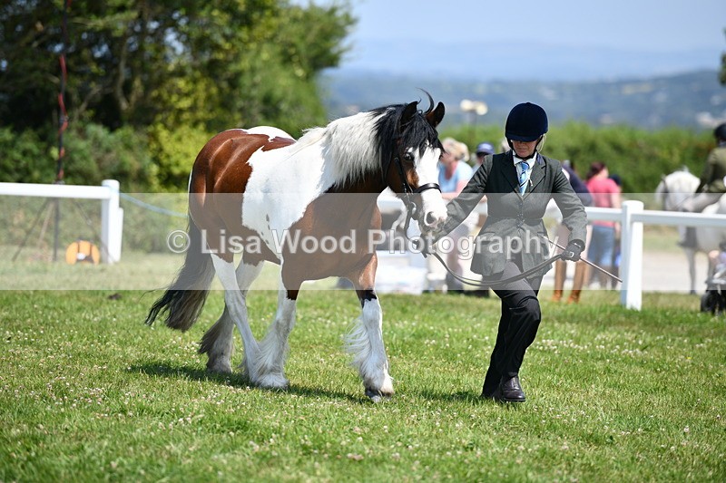 DSC_7655 - Class 64: Coloured Pony 4yrs & over