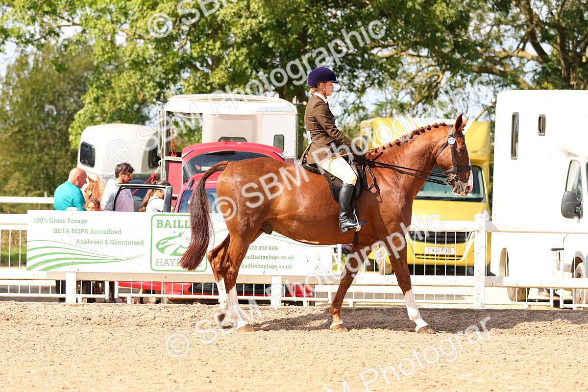 SBM_13444 - Class 212 - Ridden Hunter  - Large