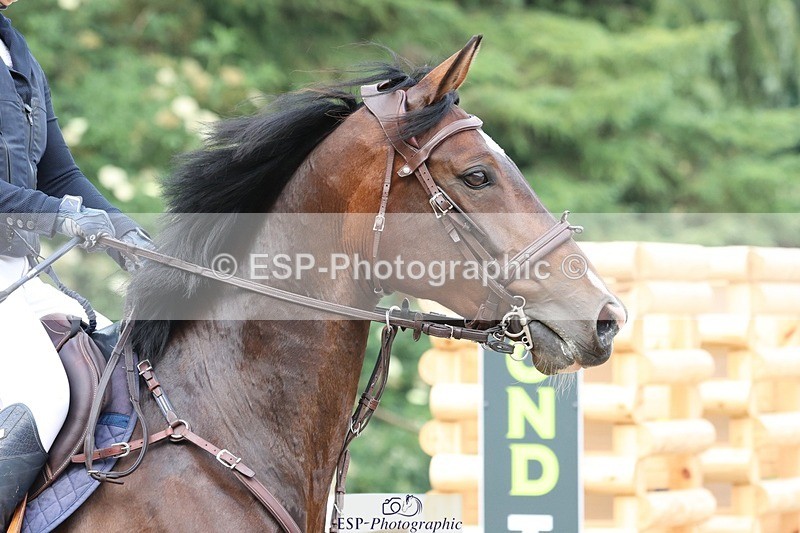 230617-085659-00460 - Cls 08a Pony 1.05