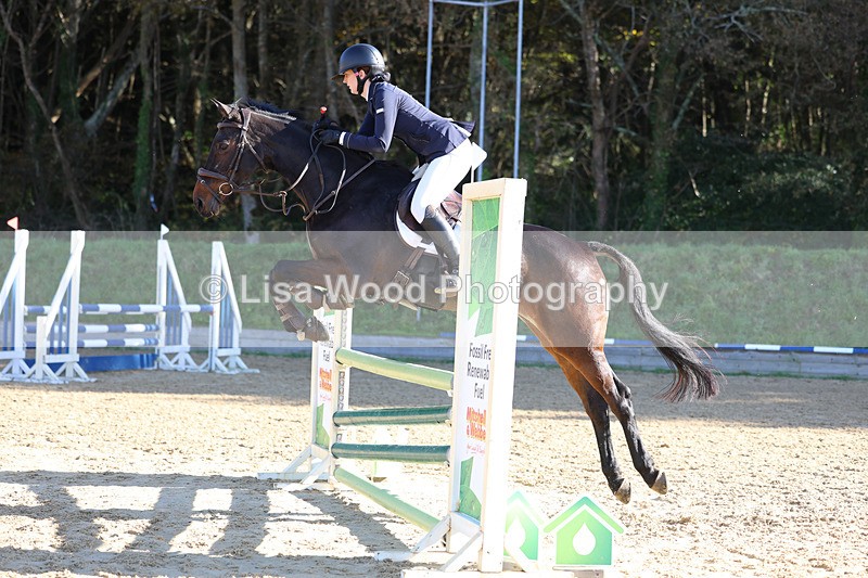 3E7A5380 - Class 4: Senior British Novice/90cm open