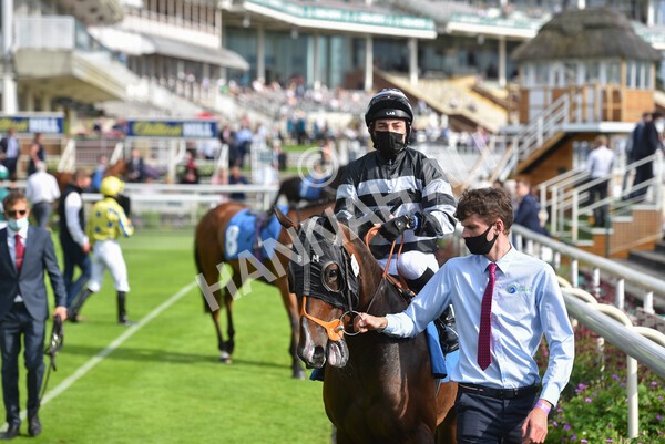 yr09072021r7-8 - Race 7 5.30pm William Hill Extra Place Races Stakes