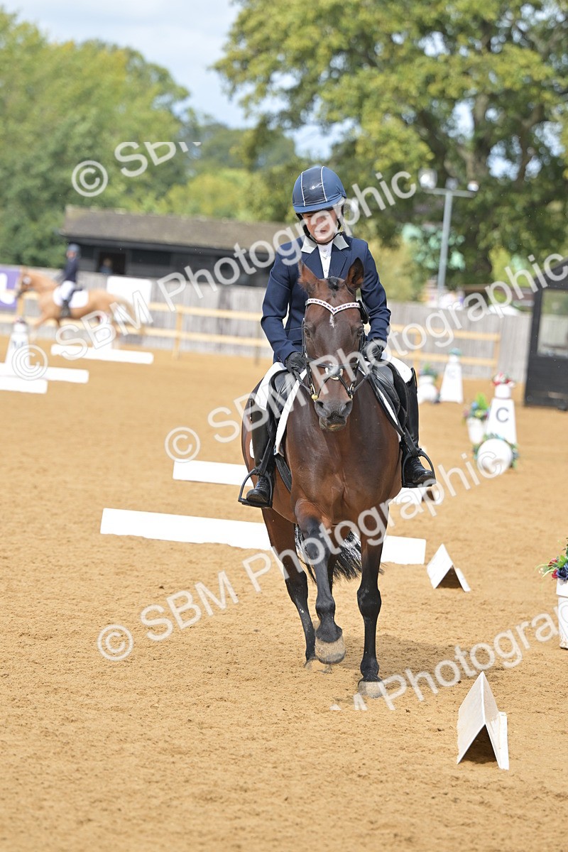 SBM_11025 - D3 - Small Tour Championship Intro 3