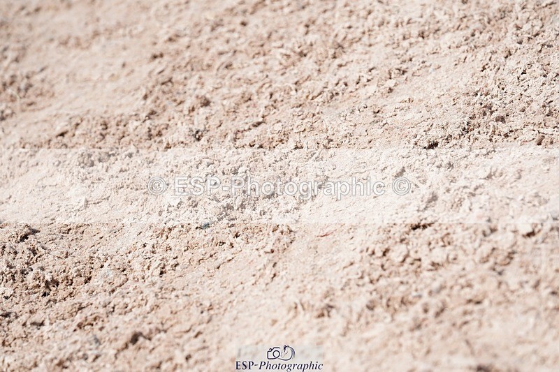 250425-134712-10076 - Cls 34 Young Horse 7yr old