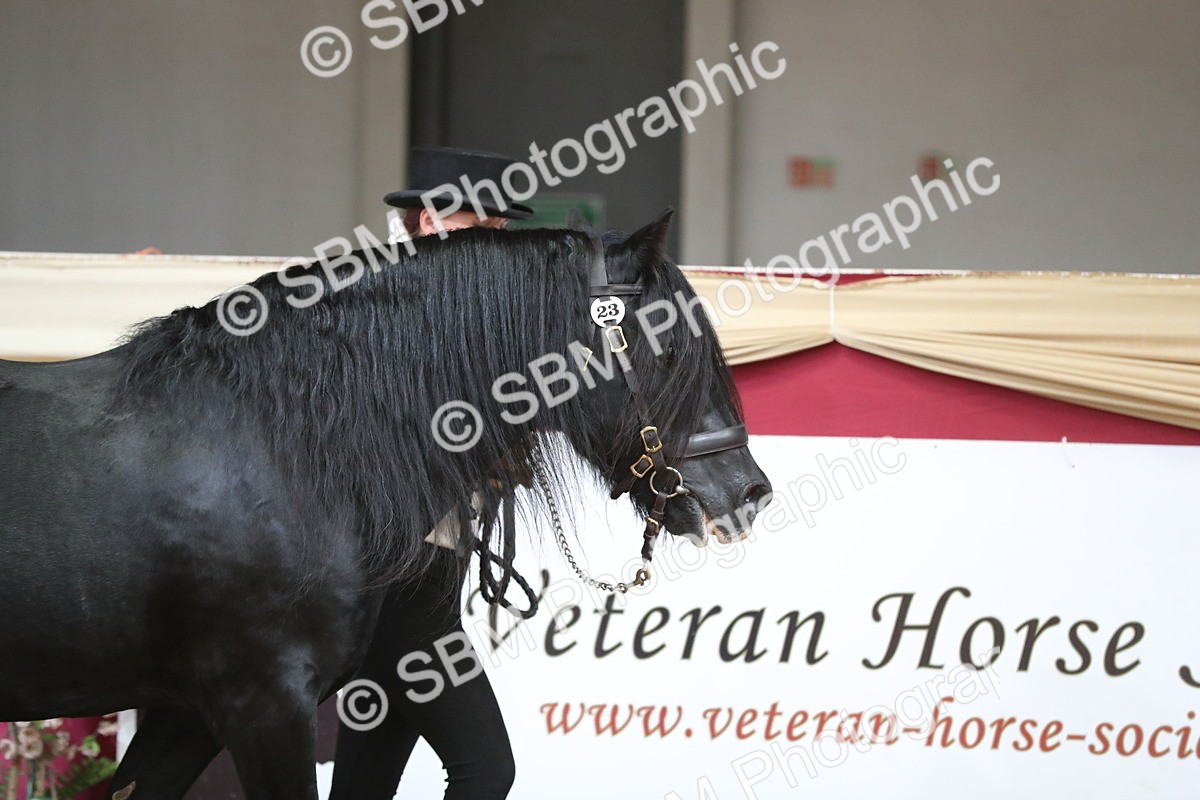 SBM_15113 - Class 501 M&M IH Supreme Final