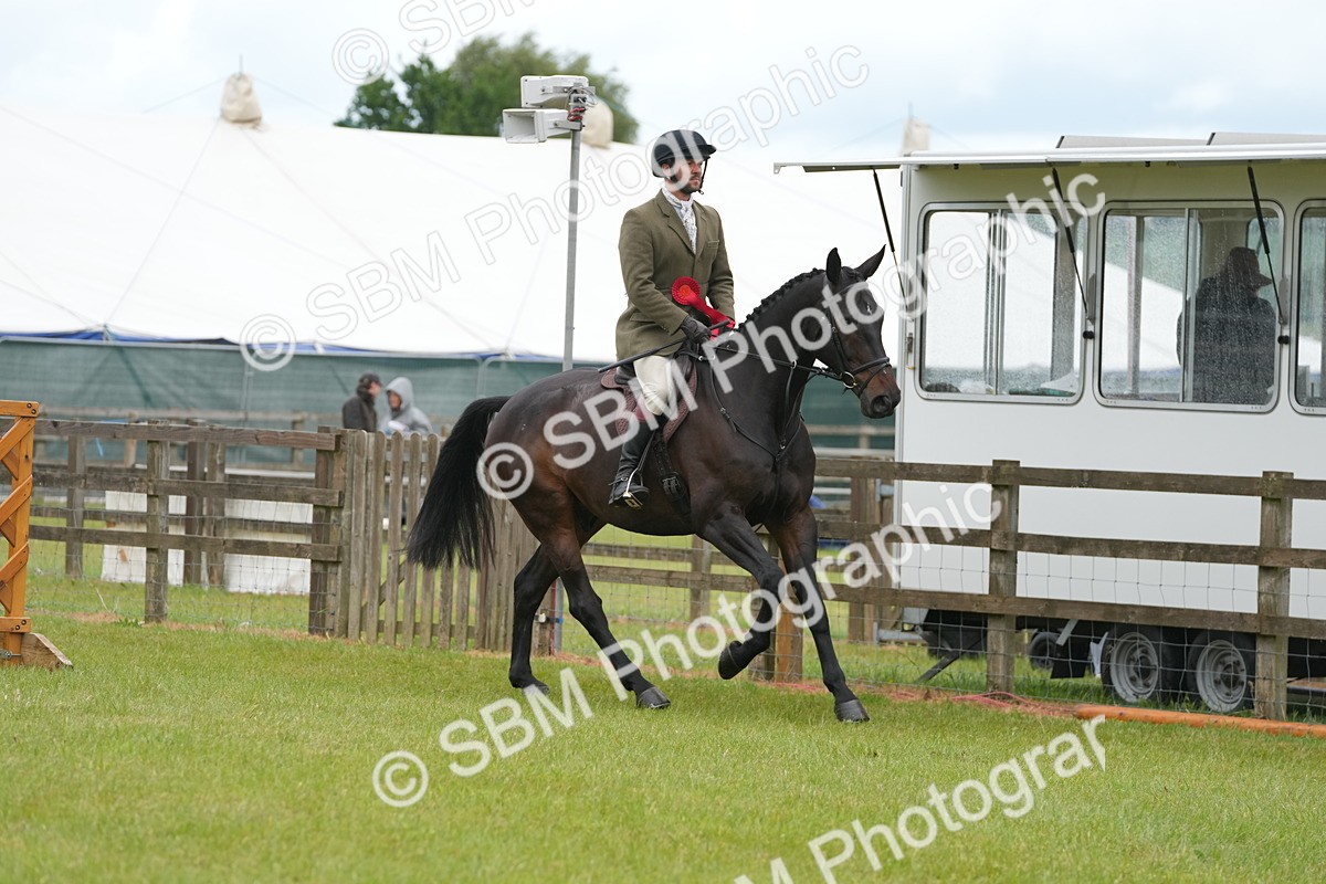 SBM_12834 - Class 97-98 - LIHS BSHA Rising Star Working Show Horse Hunter