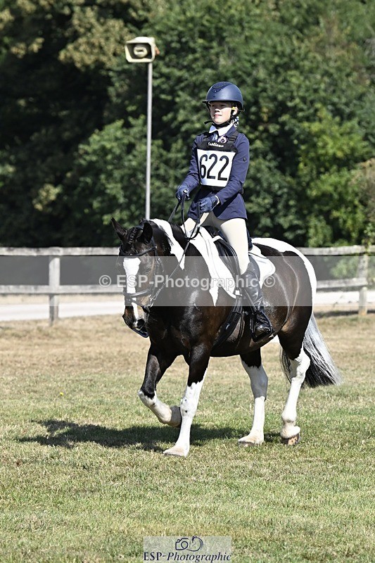 250822A-105433-20500 - DR 10.00 to 11.00