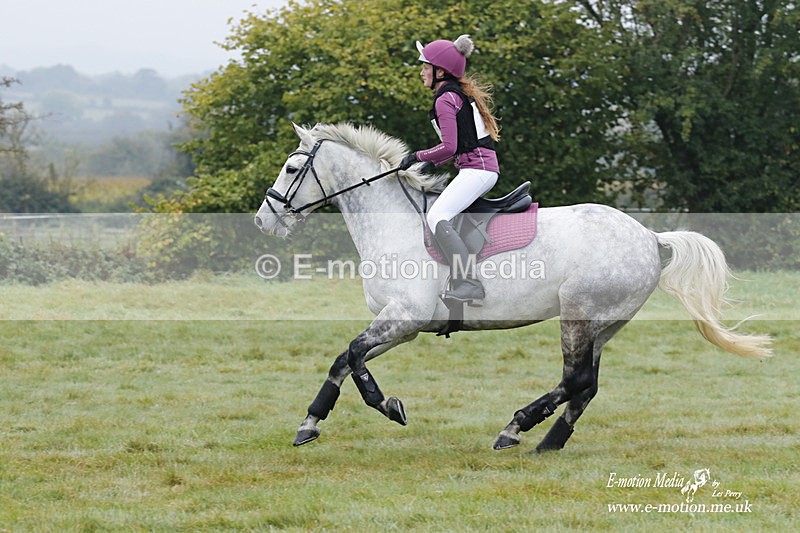 WWHT 171021 0323 - Novice Restricted (0.80m)  17/10/21