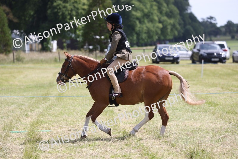 20260614-1950 - Class 21 - Novice Working Hunter Pony