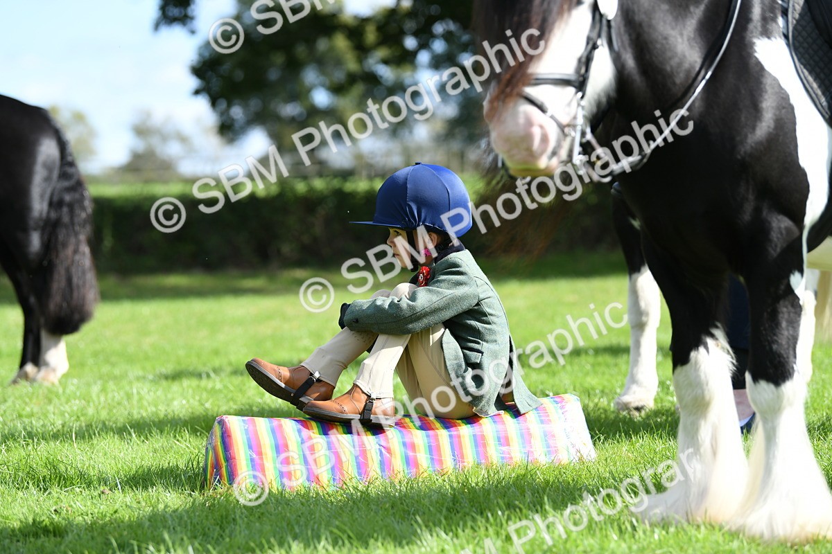 SBM_47082 - S12 - Family Horse & Pony