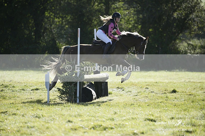 WWHT 031021 727 - Novice Restricted (0.80m) 03/10/21