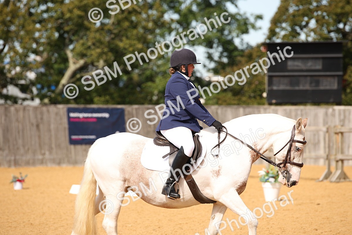 SBM_21746 - D5 - Small Tour Championship - Intro C