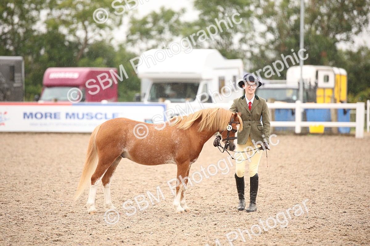 SBM_20213 - Class 703 - IH  Coloured