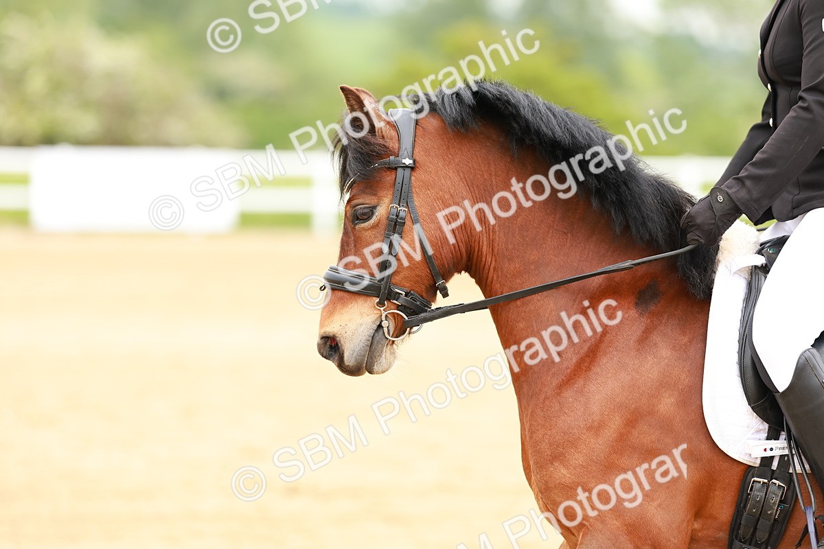 SBM_005263 - Class 16 - Novice 6