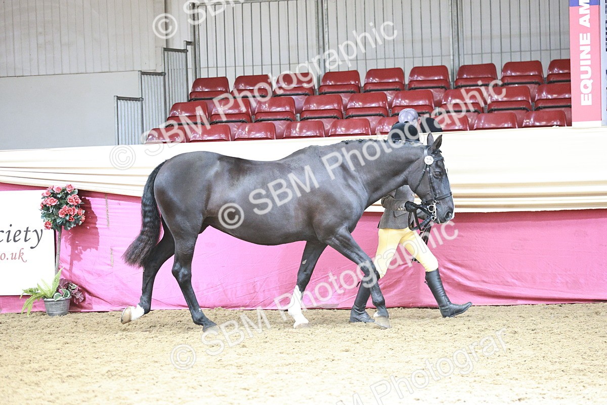 SBM_04714 - Class 7R - Regional IH Diamond