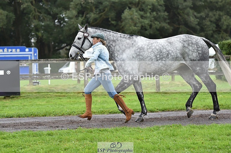 231018-122012-00218 - 028-BOLEYBAWN.COOLEY.LADY-Claire.Fielding-TrotUp