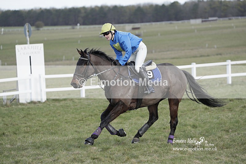 PtP 260223 164 - South & West Wilts Point-to-Point Larkhill 26/02/23