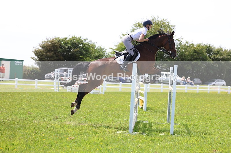 3E7A1357 - Class 12: Senior Foxhunter/1.20 open