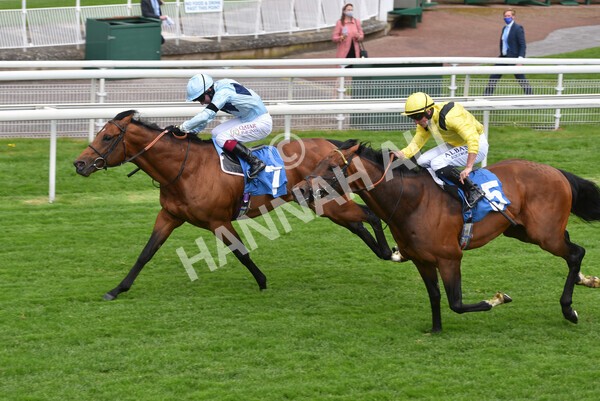 yr12052021r3-26 - Race 3 2.40pm Duke of York Clipper Logistics Stakes