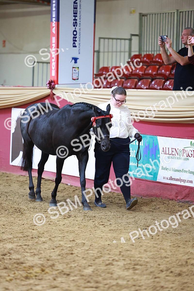 SBM_18577 - Class 903 - Sup Final - IH Pre Vet