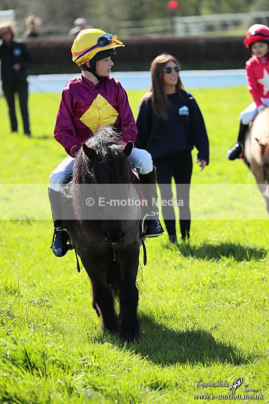 Shet 060426 223 - Shetland Pony Racing Paxford Races Easter Mon 06/04/26