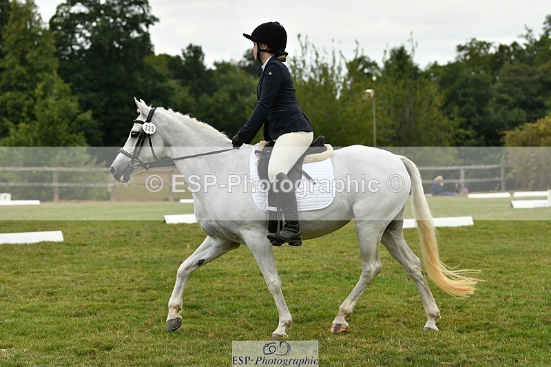 250820A-121655-05530 - 12 to 13.00