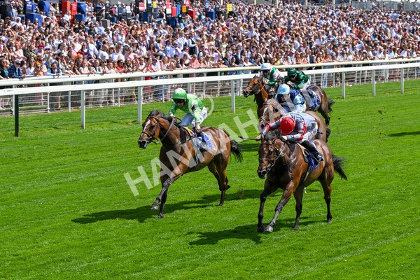 280625-Race 3-Squealer-0240 - Race 3 3.00pm Al Basti Equiworld Dubai Dash Handicap