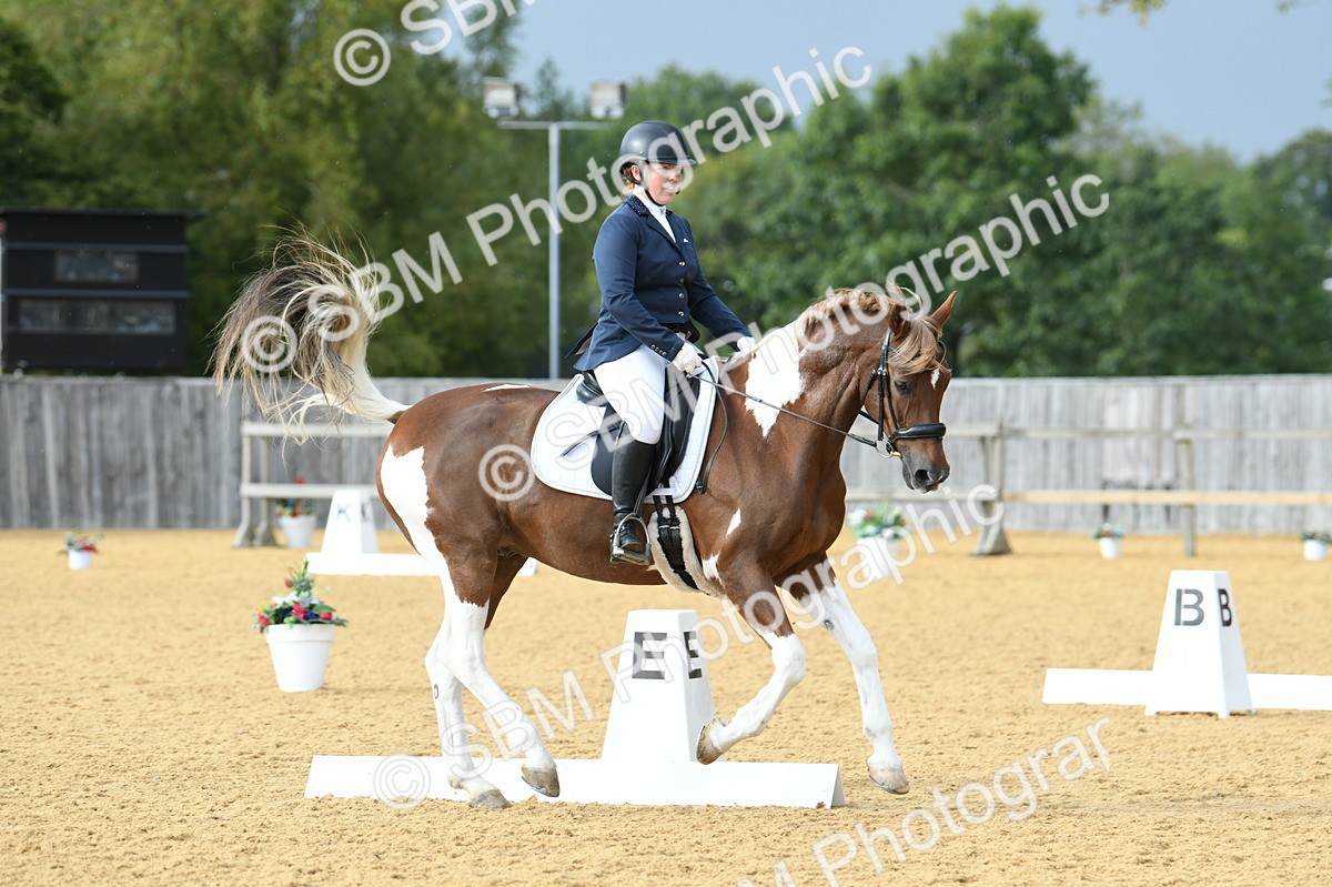 SBM_11066 - D28 Elementary Taster Elementary 42