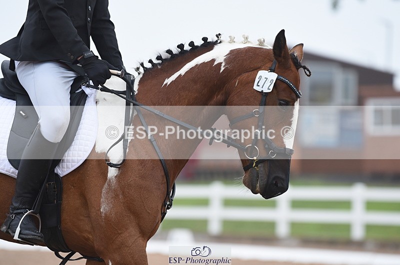 230708A-143826-03086 - Novice 24