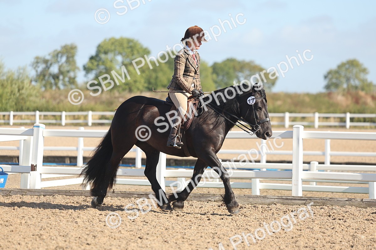 SBM_22282 - Class 803 - Ridden Combination 65+