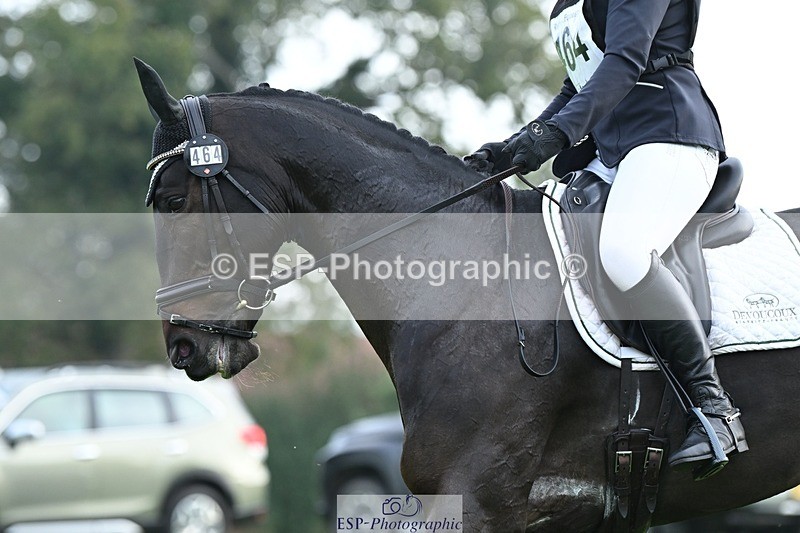 231020-094400-05746 - 464-IMPERIAL.TANGLE-Deborah.Burrell-DR