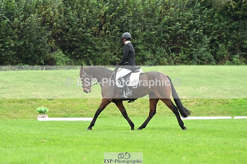 241024-111005-03152 - 504-Harry.Robinson-WHAT.A.WONDER