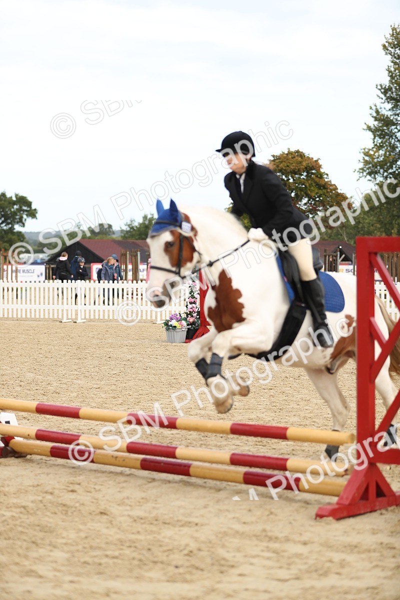 SBM_02020 - J34 - Veteran Rider 50cm