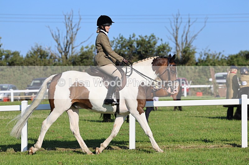 IMG_1197 - Class 27: Ridden Plaited Coloured Horse