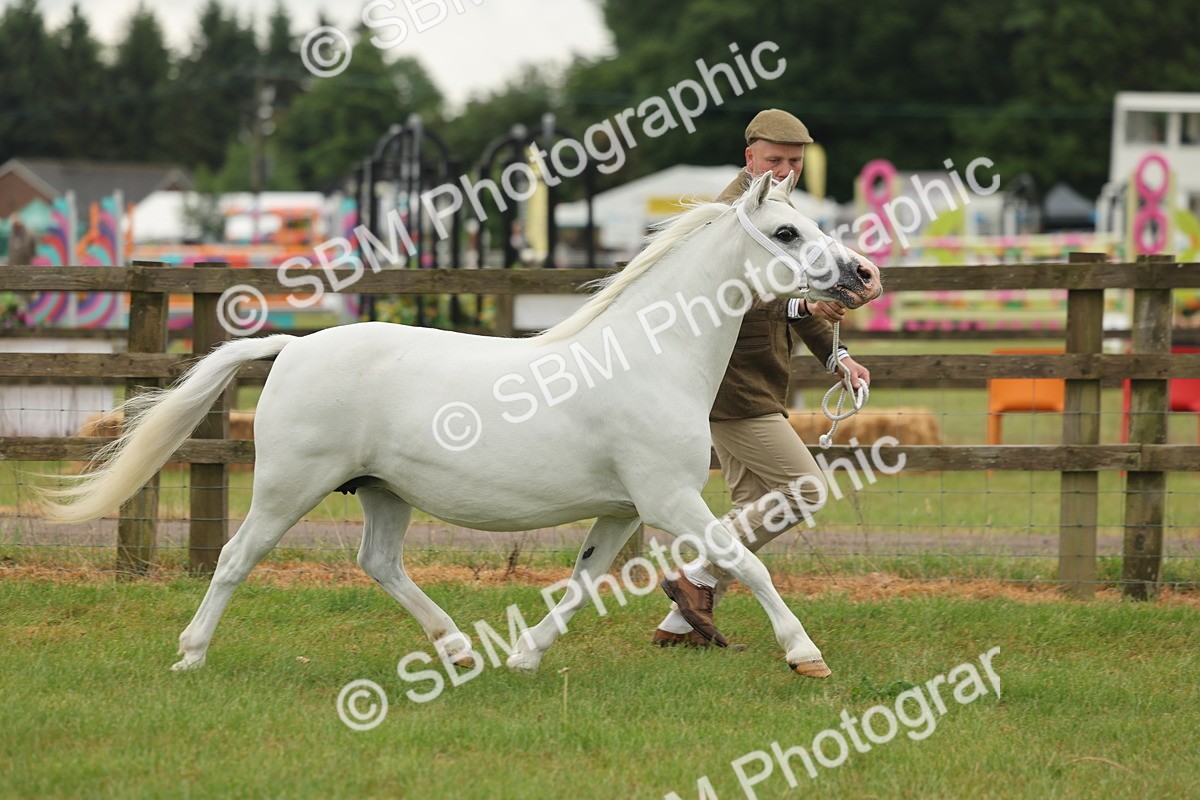 SBM_01536 - Class 50-57 - M&M Welsh Pony In Hand