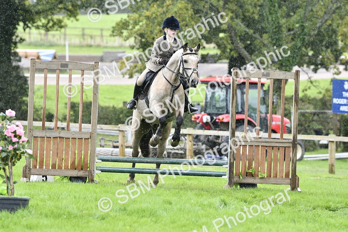 SBM_41436 - S32 - Mountain & Moorland Working Hunter Pony