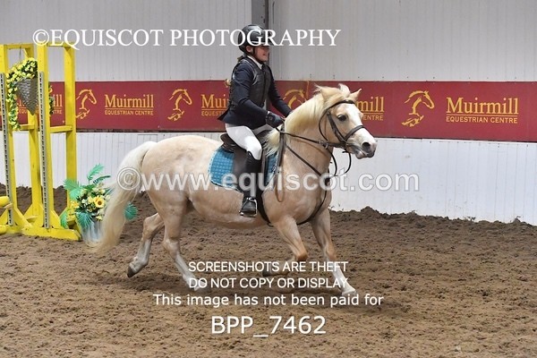 BPP_7462 - 40CM WORKING HUNTER