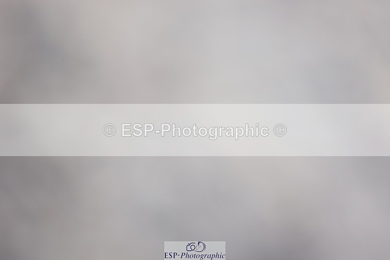 241201X-130913-01459 - Cls 26 Springboard