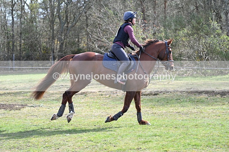 WJ7_0533 - Time 10:56 to 11:17