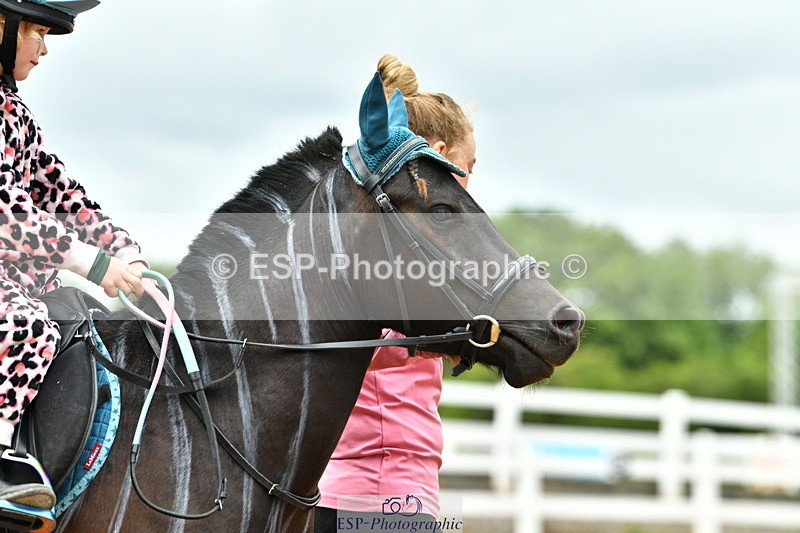 230804A-102956-01931 - Musical Ride