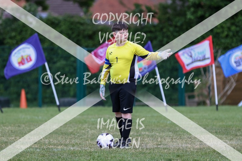 1DX31295 - Brook Field V Goddard Park