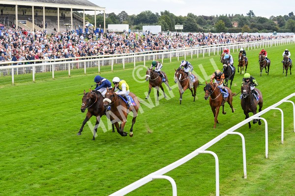 230823-Race 5-Forza Orta-0701 - Race 5 4.10pm Sky Bet Stayers Handicap